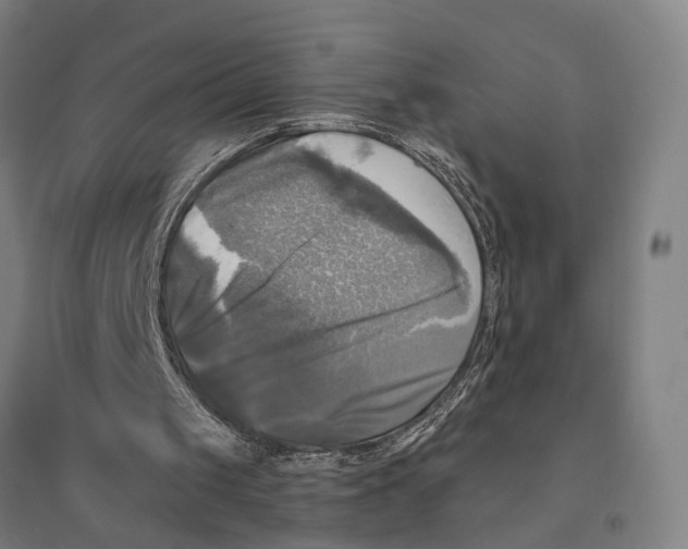 X0000095110049200712301746