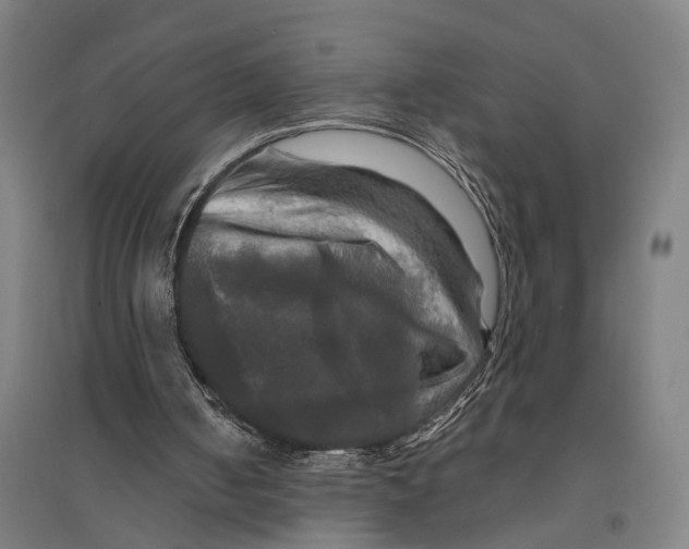 X0000095110050200712301746