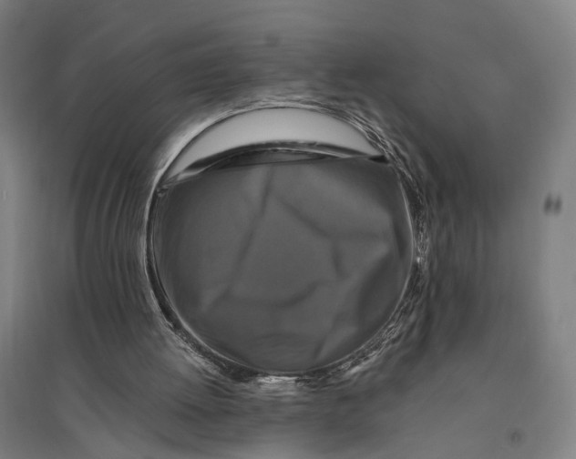 X0000095110052200712301746