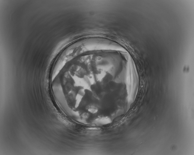 X0000095110053200712301746