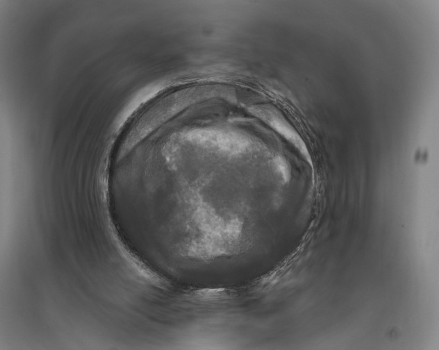 X0000095110054200712301746