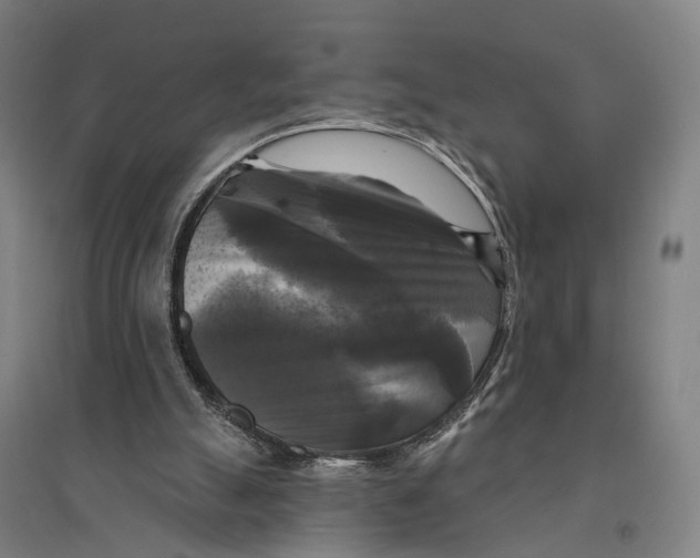 X0000095110055200712301746