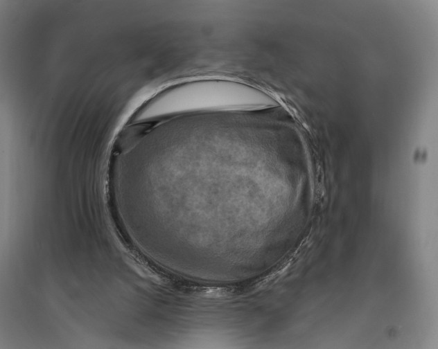 X0000095110056200712301746