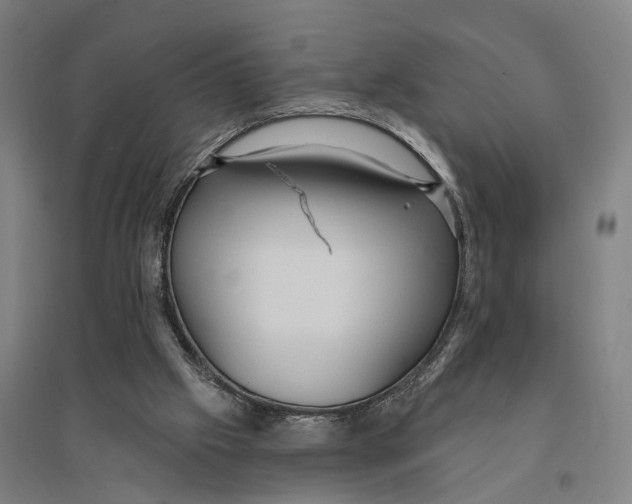 X0000095110057200712301746