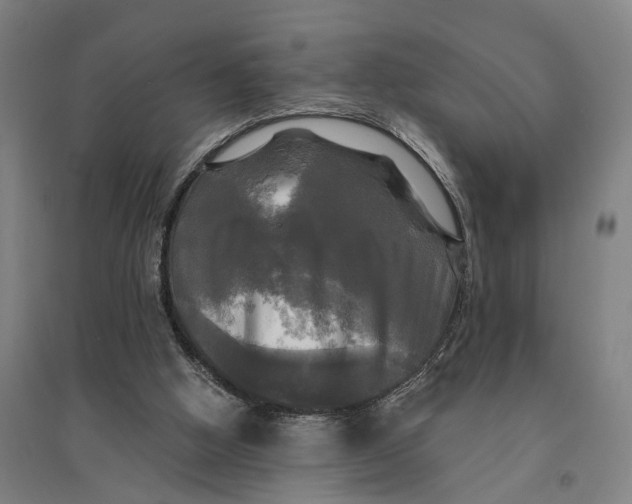 X0000095110058200712301746