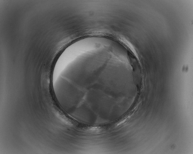 X0000095110059200712301746