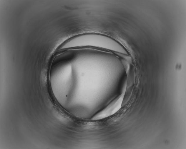 X0000095110060200712301746