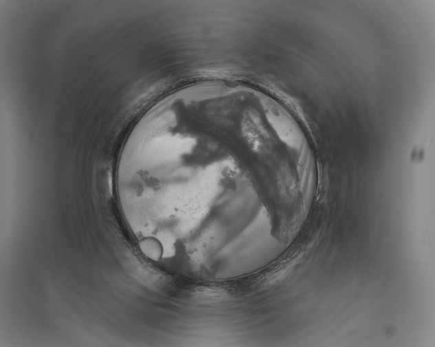 X0000095110061200712301746