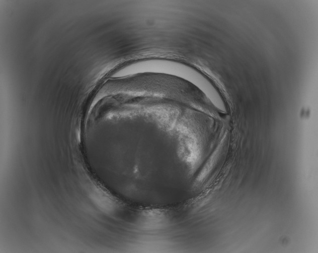 X0000095110062200712301746