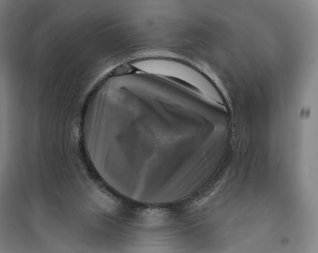 X0000095110063200712301746