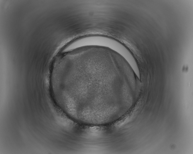 X0000095110064200712301746