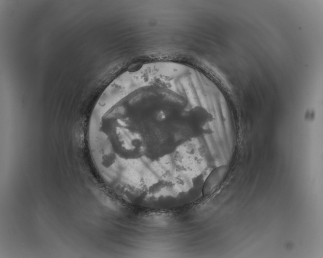 X0000095110065200712301746