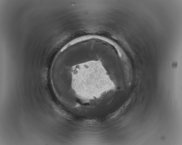 X0000095110066200712301746