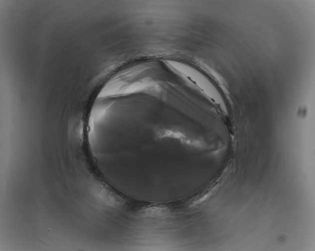 X0000095110067200712301746