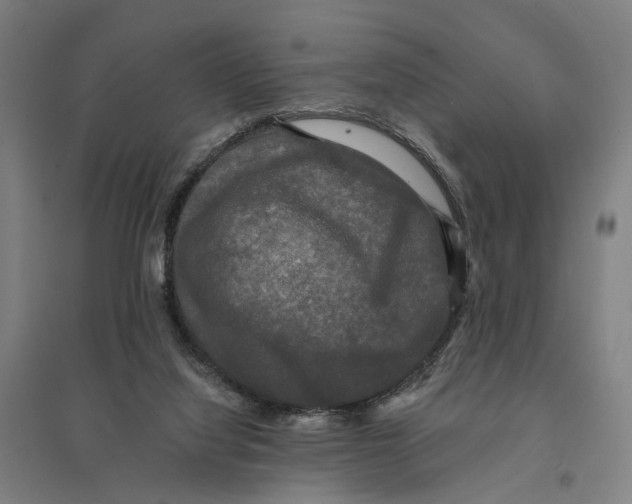 X0000095110068200712301746