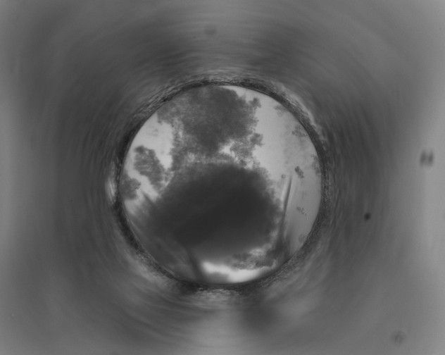 X0000095110069200712301746