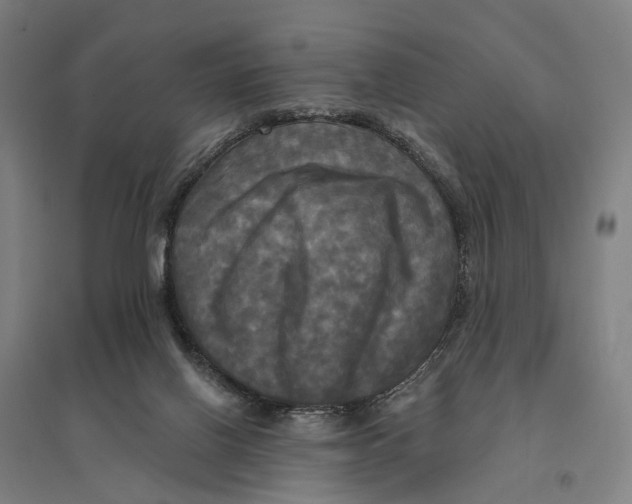 X0000095110070200712301746