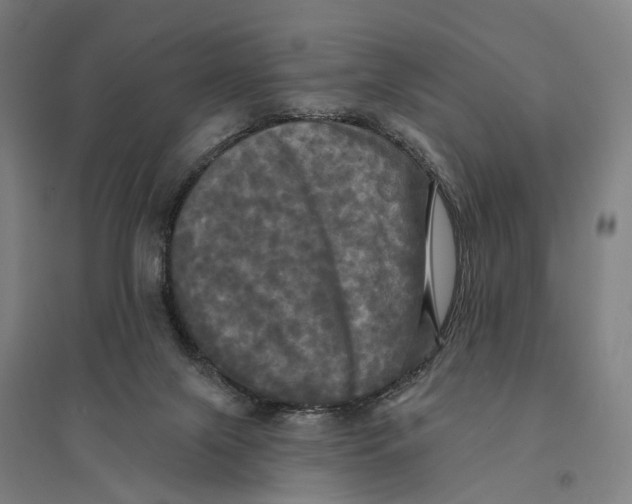 X0000095110071200712301746