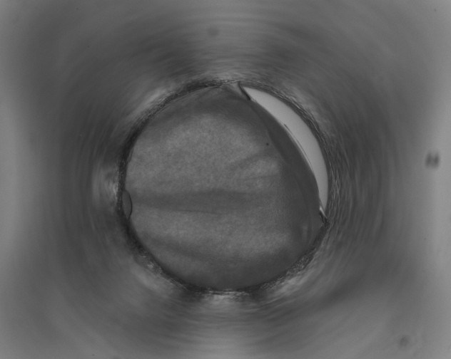 X0000095110072200712301746