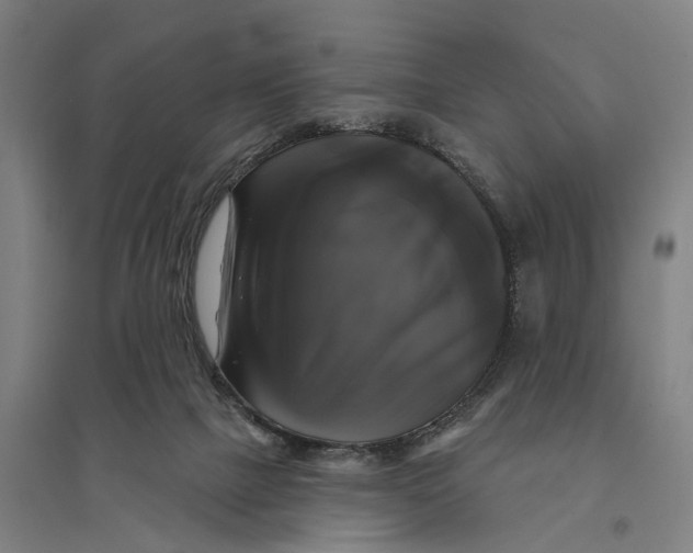 X0000095110073200712301746