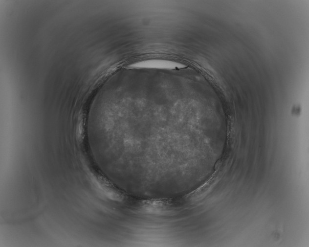 X0000095110074200712301746