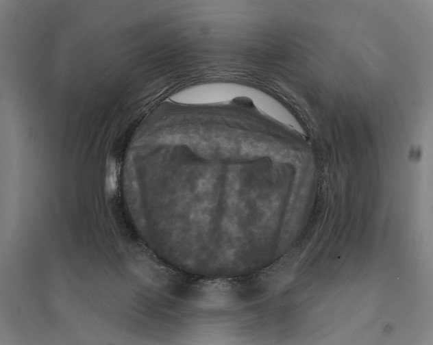 X0000095110075200712301746