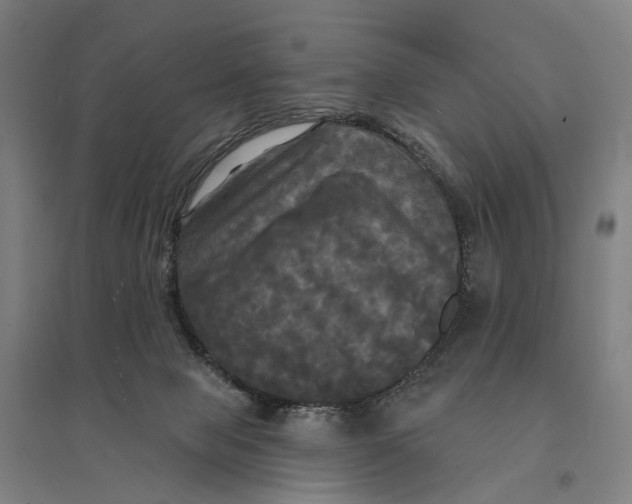 X0000095110077200712301746