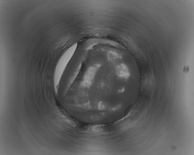 X0000095110078200712301746