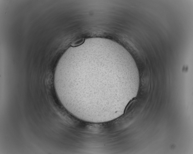 X0000095110079200712301746