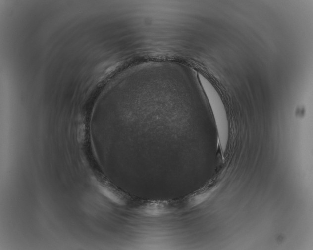 X0000095110080200712301746