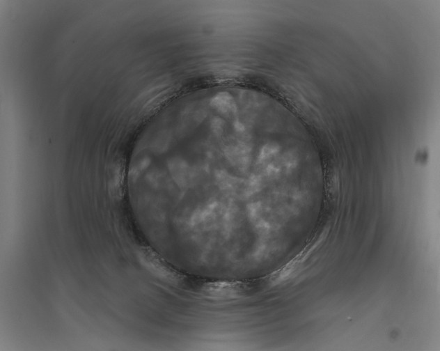 X0000095110082200712301746