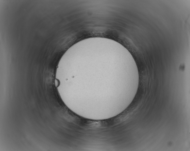 X0000095110083200712301746