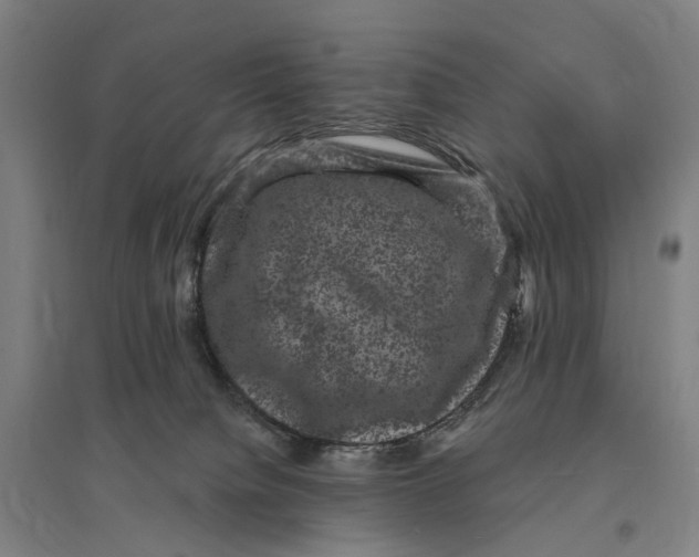 X0000095110084200712301746