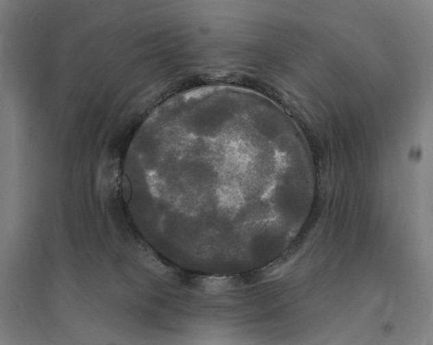 X0000095110085200712301746