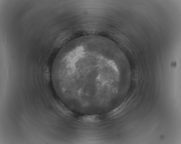 X0000095110086200712301746