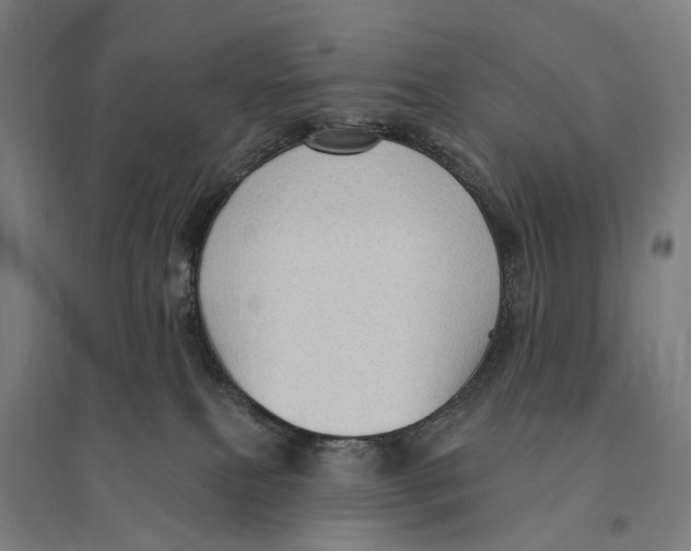 X0000095110087200712301746