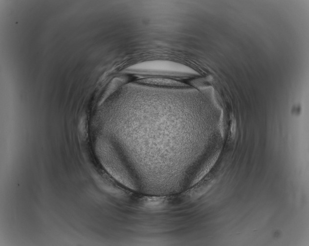 X0000095110088200712301746