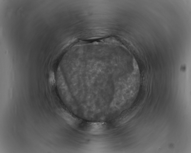 X0000095110089200712301746