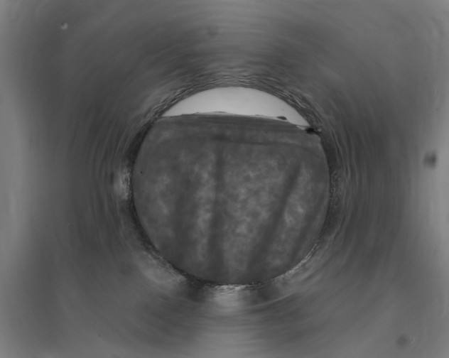 X0000095110090200712301746