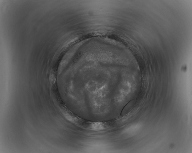 X0000095110091200712301746