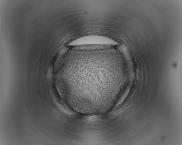 X0000095110092200712301746