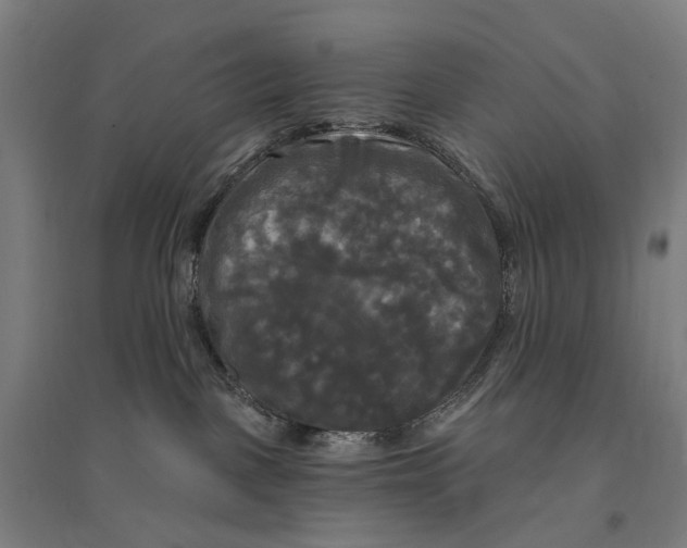 X0000095110093200712301747