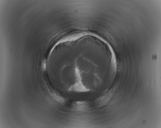 X0000095110095200712301747