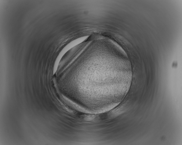 X0000095110096200712301747