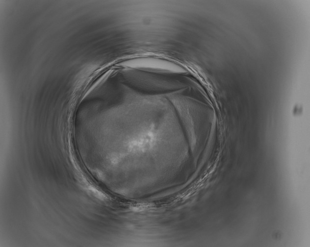 X0000095110097200712301746