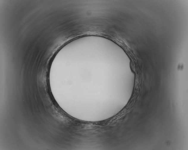 X0000095110098200712301746