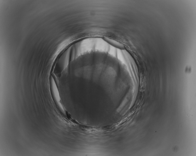 X0000095110099200712301746