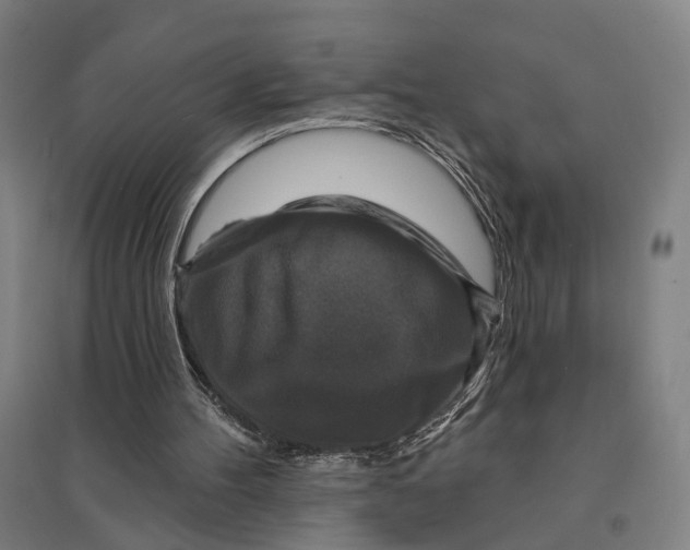 X0000095110100200712301746