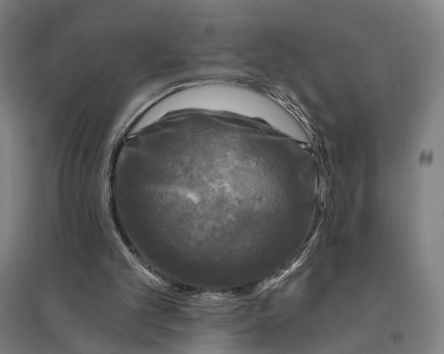 X0000095110101200712301746