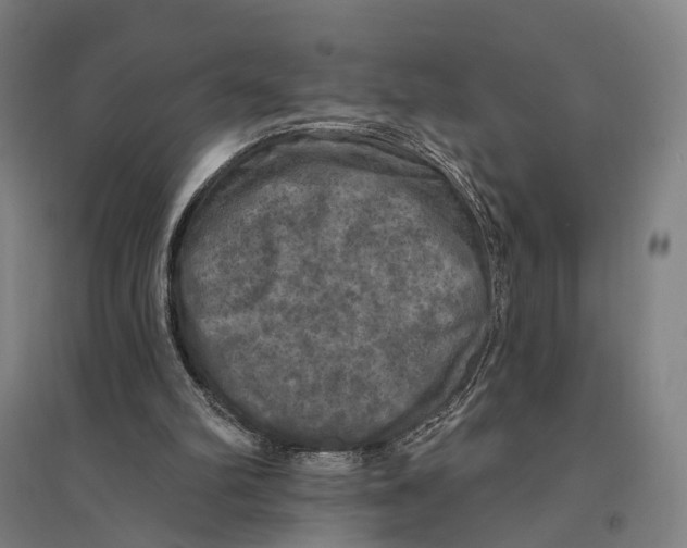 X0000095110102200712301746